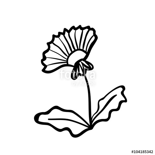 500x500 Dandelion Sketch Stock Image And Royalty Free Vector Files On - Dandelion Sketch