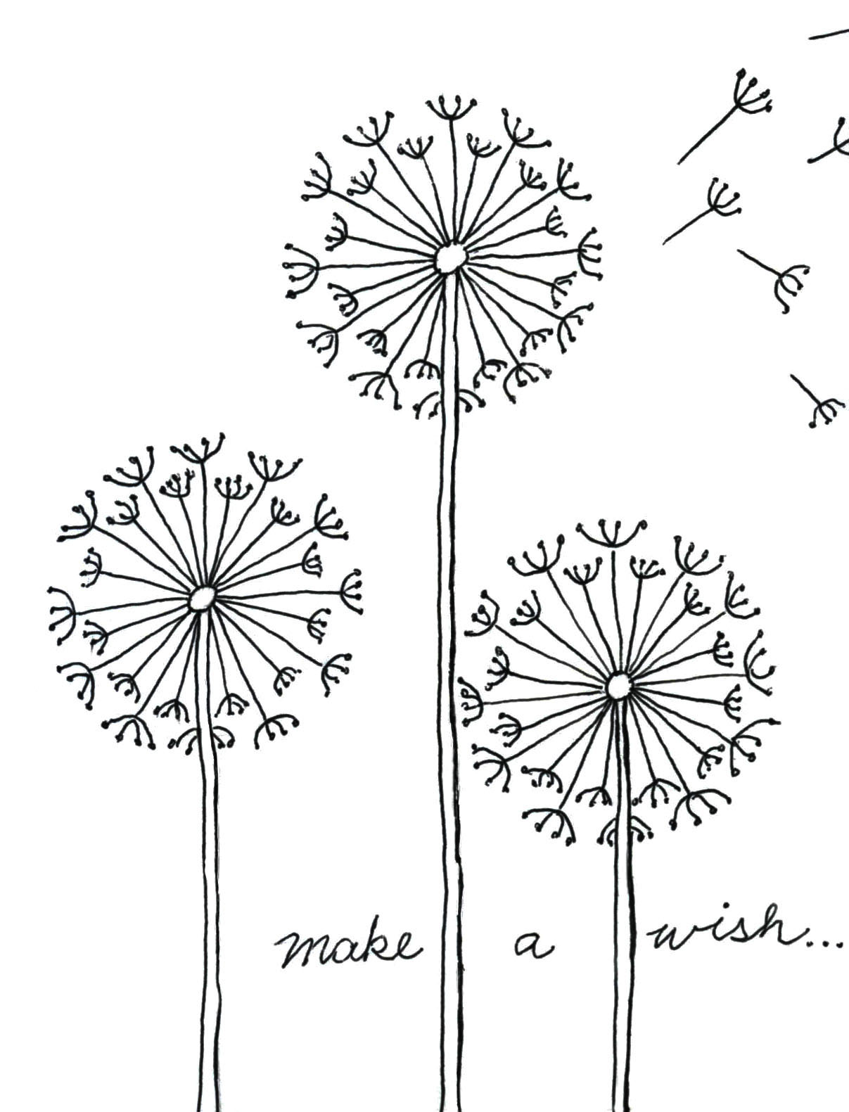 1207x1581 Draw A Dandelion Art Projects For Kids - Dandelion Sketch