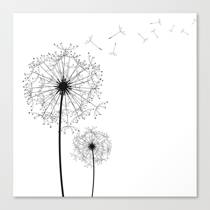 700x700 Black And White Dandelion Sketch Canvas Print By - Dandelion Sketch