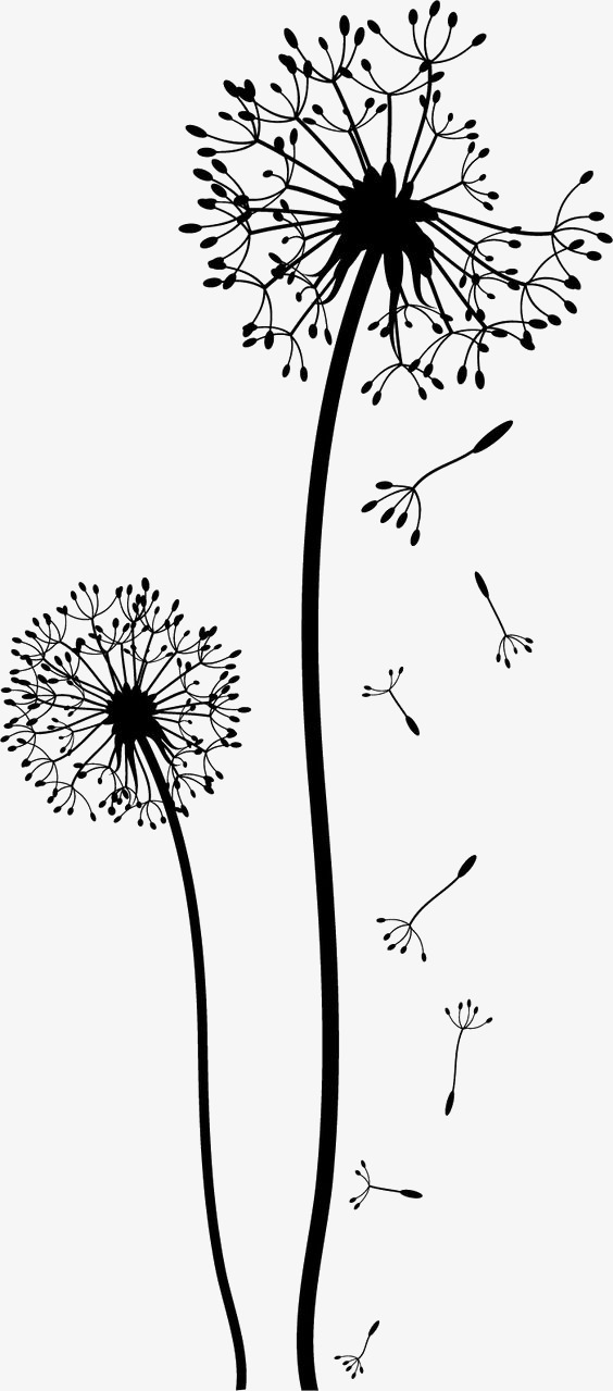 564x1279 Dandelion, Sketch, Stick Figure, Black Png Image And Clipart For - Dandelion Sketch