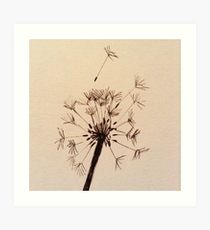210x230 Dandelion Sketch Drawing Wall Art Redbubble - Dandelion Sketch Drawing