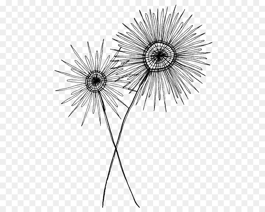 900x720 Drawing Black And White Sketch - Dandelion Sketch Drawing