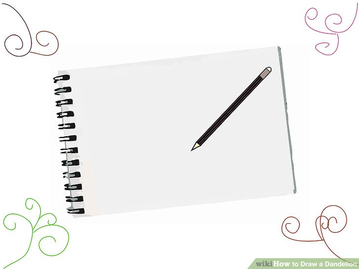728x546 How To Draw A Dandelion 8 Steps (With Pictures) - Dandelion Sketch Drawing