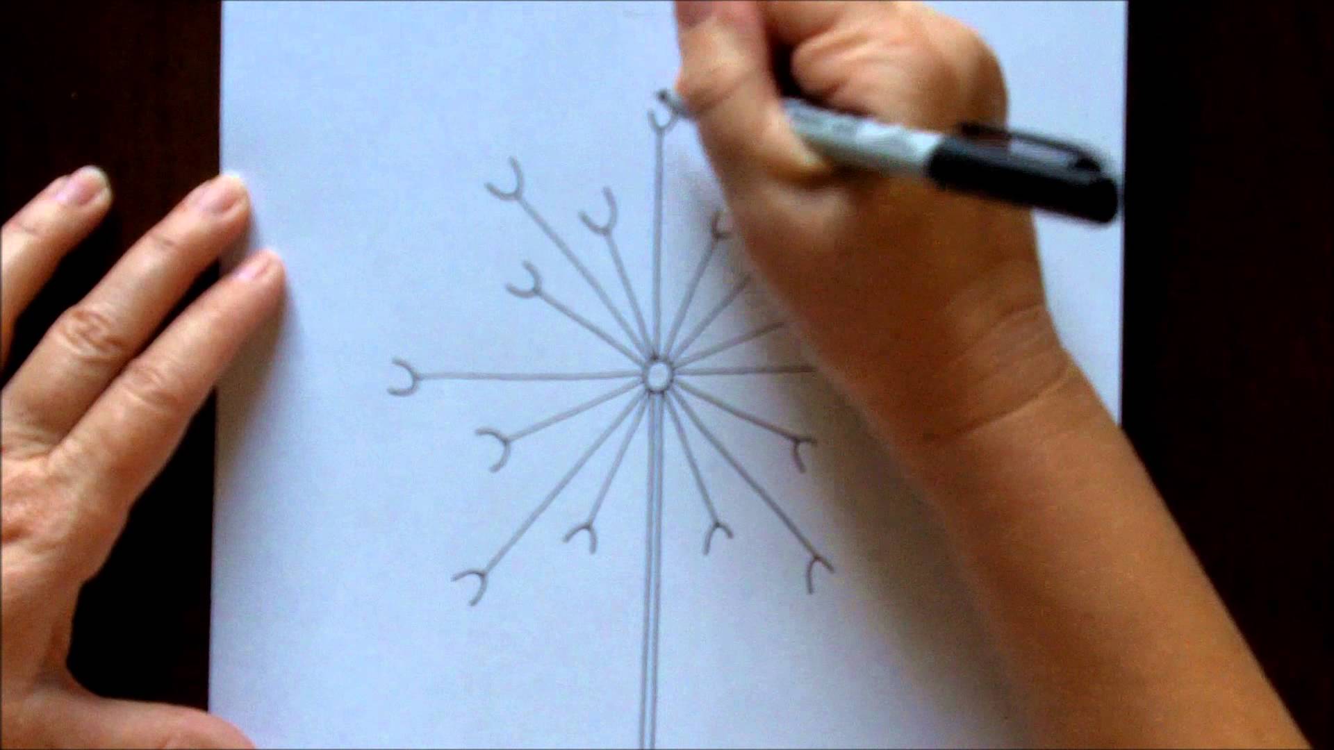 1920x1080 How To Draw A Dandelion Easy Free Drawing Tutorial For Beginners - Dandelion Sketch Drawing