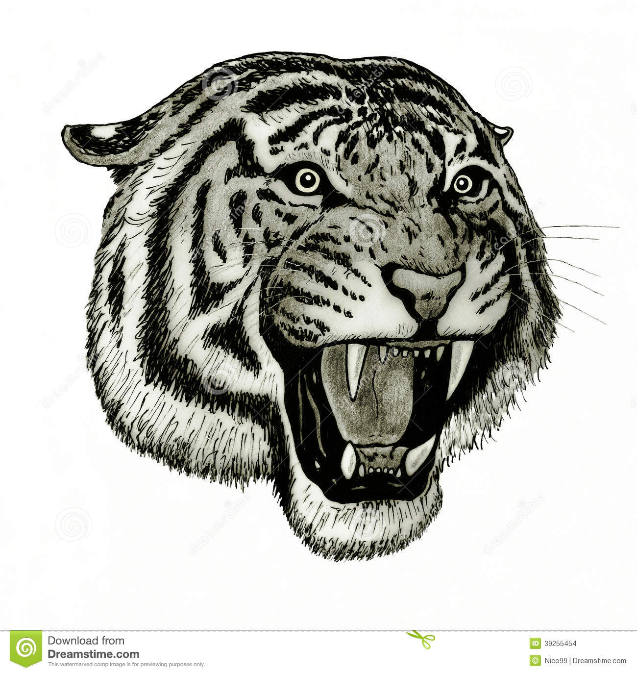 1300x1375 Tiger Face Image Sketch Tiger Face Roaring Stock Illustration - Danger Sketch