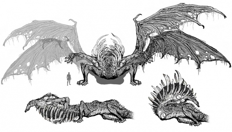 800x457 Dark Souls Prepare To Die Edition Concept Art - Dark Dragon Sketch