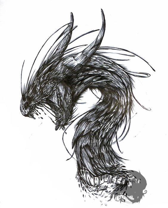 564x700 Dragon Sketch 2 By Renecampbellart - Dark Dragon Sketch