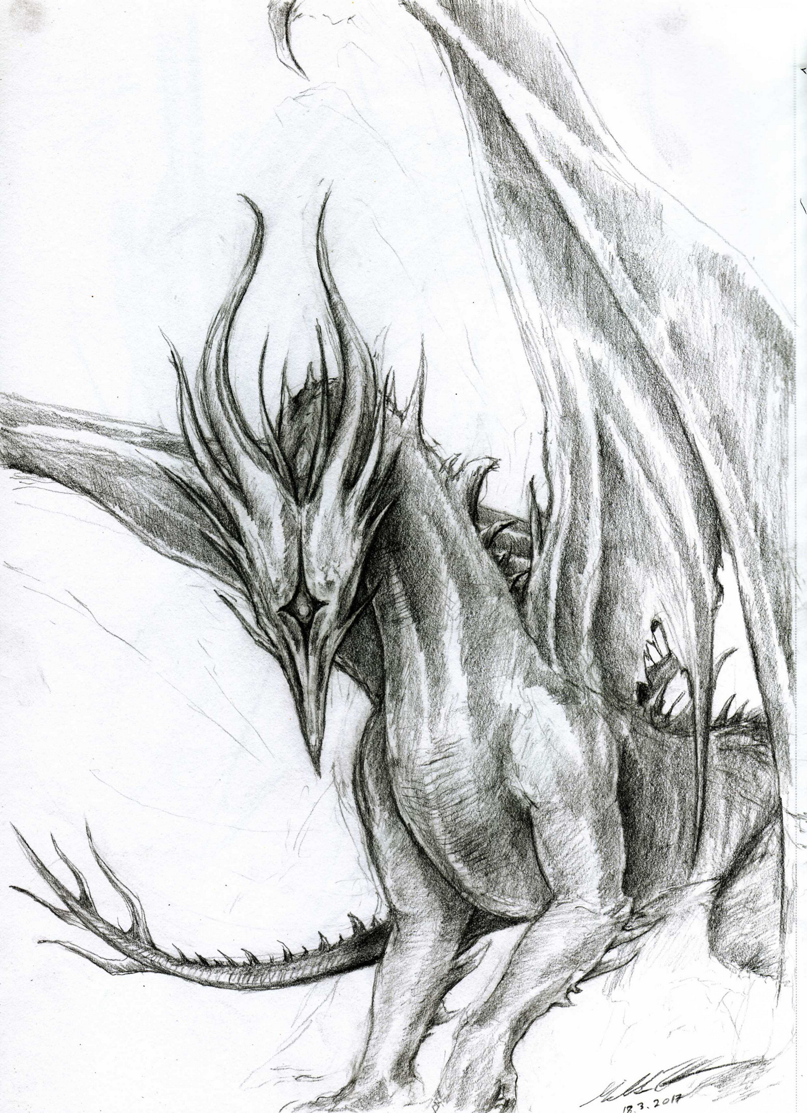 Dark Dragon Sketch at PaintingValley.com | Explore collection of Dark ...