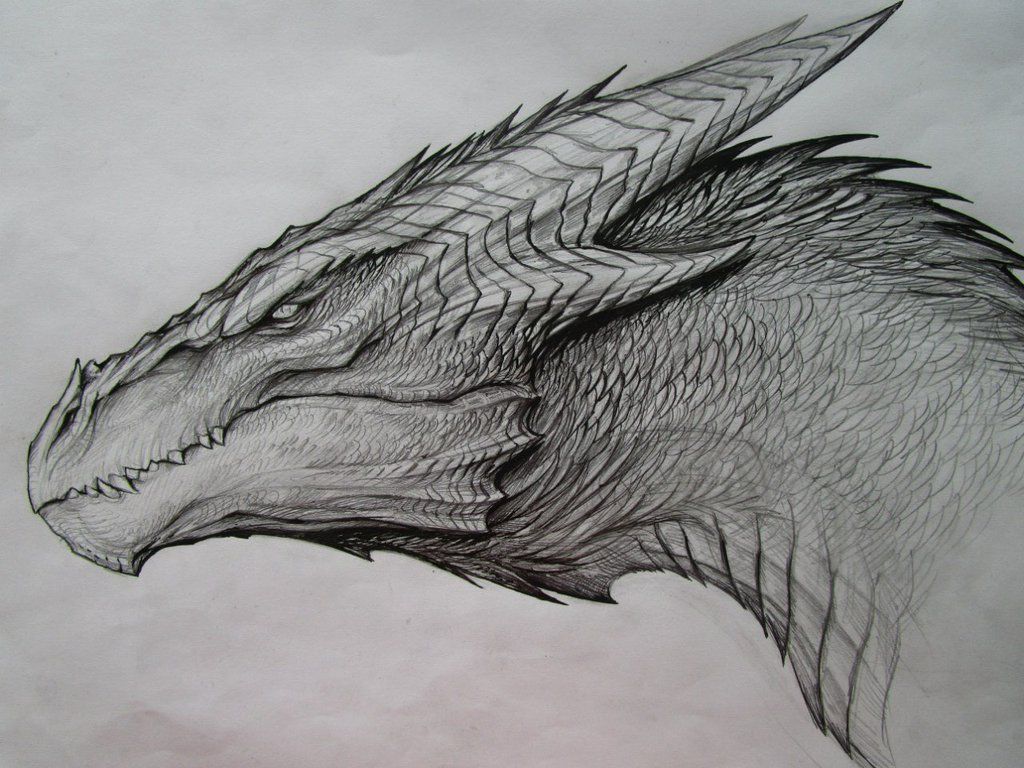 1024x768 25 Cool Things To Draw That Are Easy And Fun For Beginners Cool - Dark Dragon Sketch