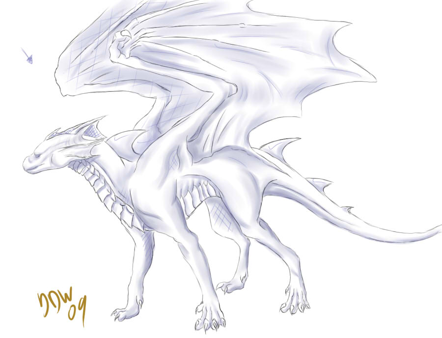 900x688 Dragon Sketch 1 By Dark Dragon Wings - Dark Dragon Sketch