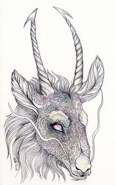 236x379 572 Best Dragons, Black Amp White Images Train Your - Dark Dragon Sketch