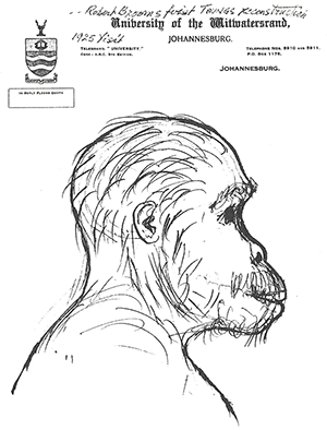 300x394 Rocky Road Raymond Dart - Dart Sketch