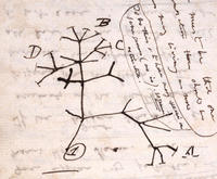 200x165 I Think - Darwin Sketches