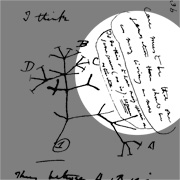 180x180 Zurb - Darwin Sketches