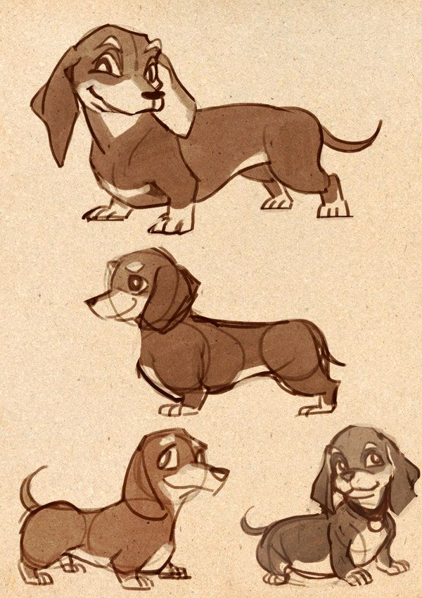 600x849 Dachshund Sketch By Kukon All Things Doxie - Daschund Sketch