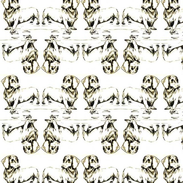 640x640 Daschund Sketch By Winnie Maeve Styletails - Daschund Sketch