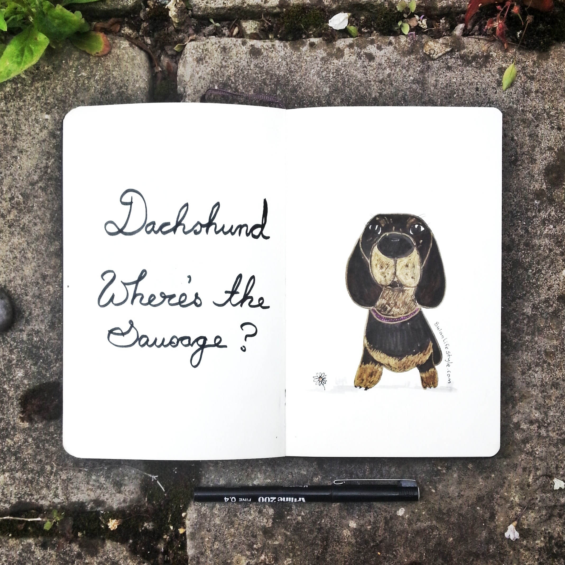 2138x2138 Sketch Of The Day No 922 In My Moleskine Art Journal Dorothy The - Daschund Sketch