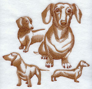 300x291 Dachshund Sketch - Daschund Sketch