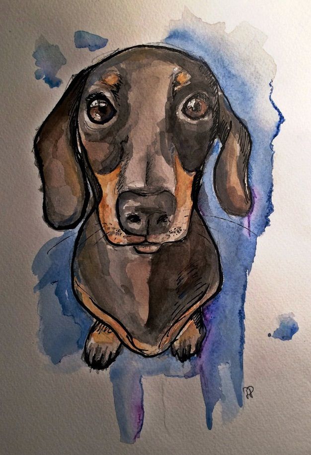 626x914 Dachshund Clube Perro Dachshunds, Dog And Tattoo - Daschund Sketch