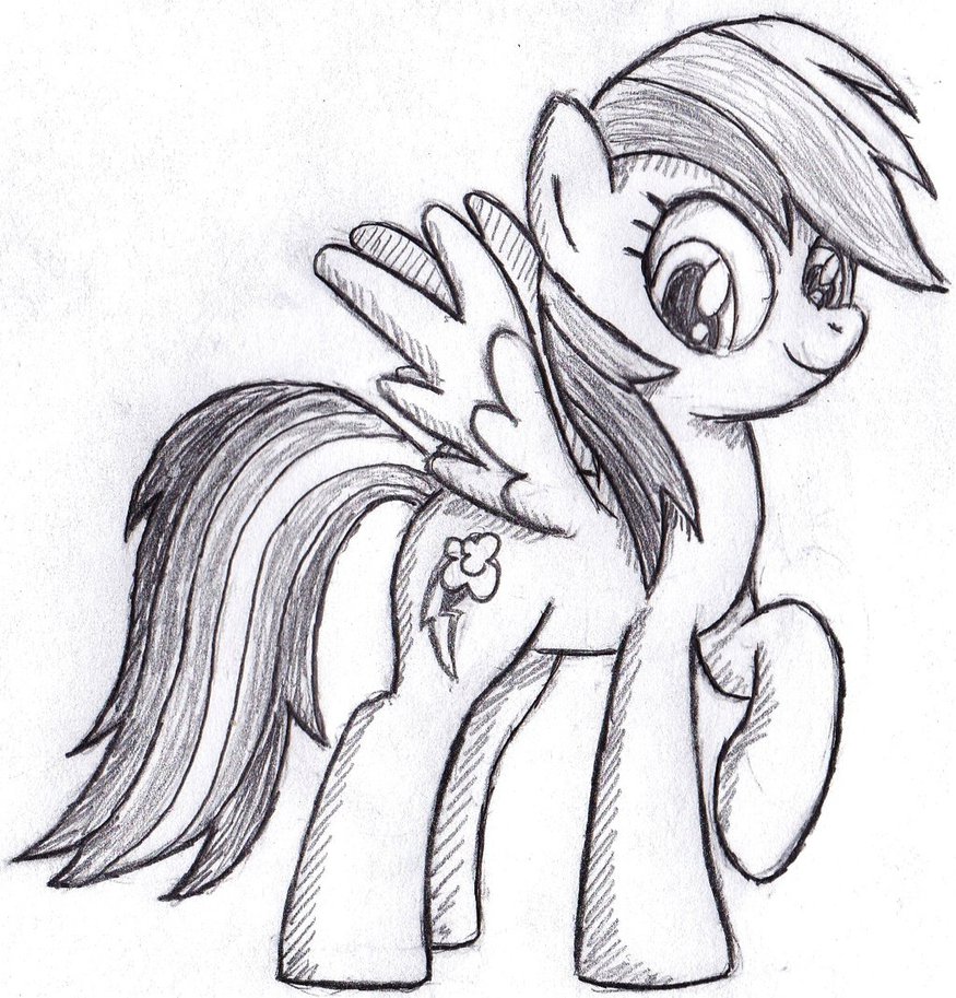 875x913 Rainbow Dash Realistic Drawing Drawing Skill - Dash Sketch