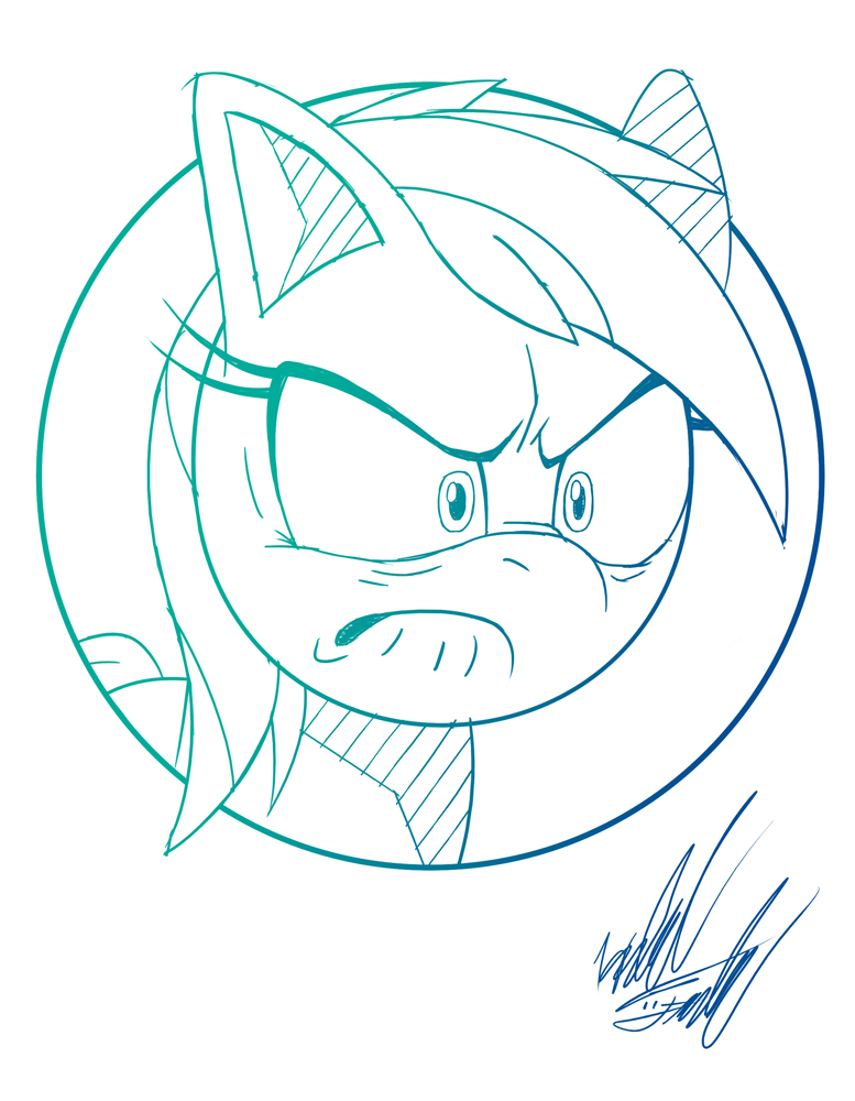 777x1000 Sketch 'Angry' Rainbow Dash Portrait By Sam Huskie My Little - Dash Sketch