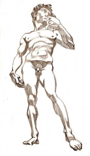 290x500 David - David Sketch