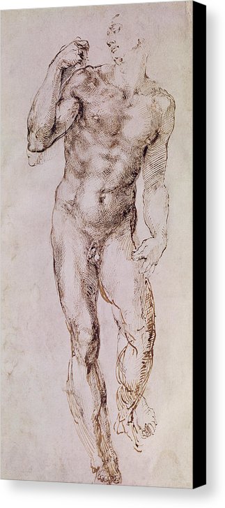 323x728 Sketch Of David With His Sling Canvas Print Canvas Art By - David Sketch