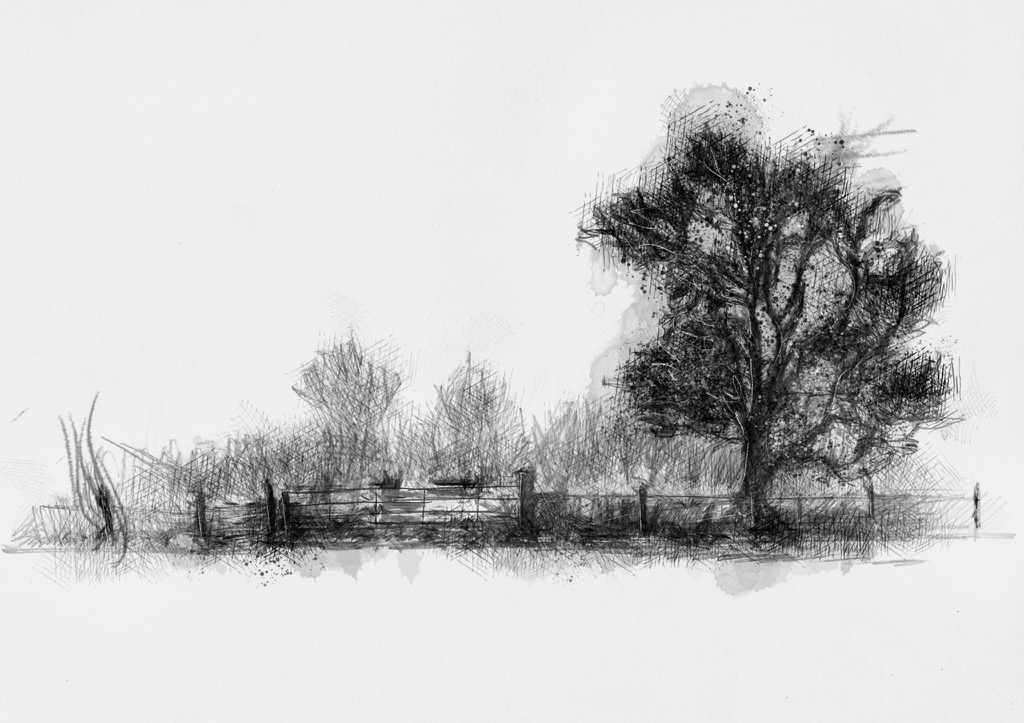 1024x723 Dawn Sketch - Dawn Sketch