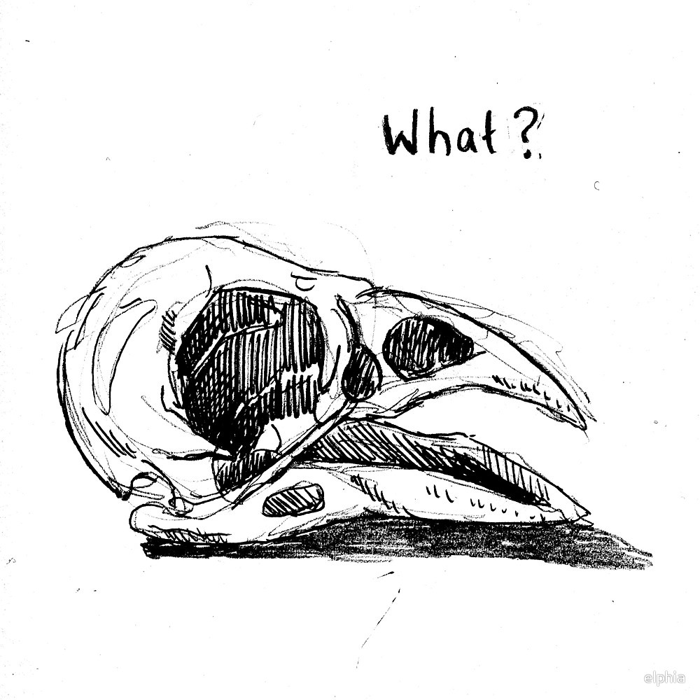 1000x1000 Dead Bird By Elphia Redbubble - Dead Bird Sketch