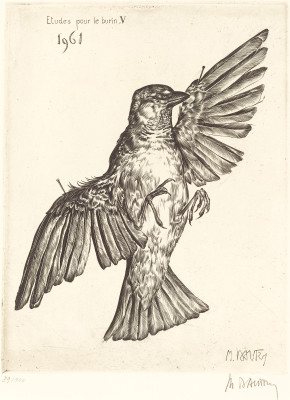 290x400 Etudes Pour Le Burin V (Dead Bird) - Dead Bird Sketch