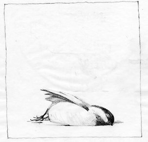 304x291 Miscellaneous Drawings Amp Sketches On Various Handmade And Archival - Dead Bird Sketch