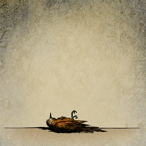 500x500 The Dead Bird Sketch - Dead Bird Sketch