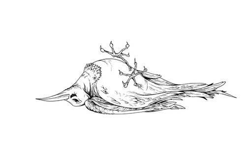 500x324 Dead Bird Original Art By Alex Pardee Zerofriends, A Creative - Dead Bird Sketch