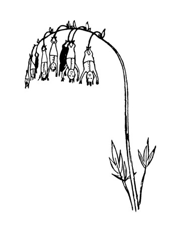 338x450 Easy Dead Flower Drawing - Dead Flower Sketch