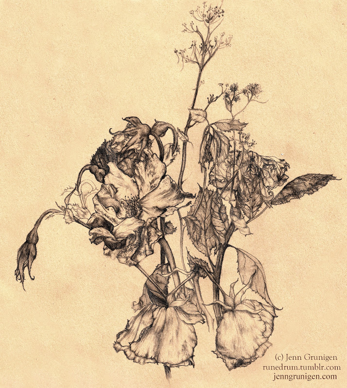 714x800 Laura Flower - Dead Flower Sketch