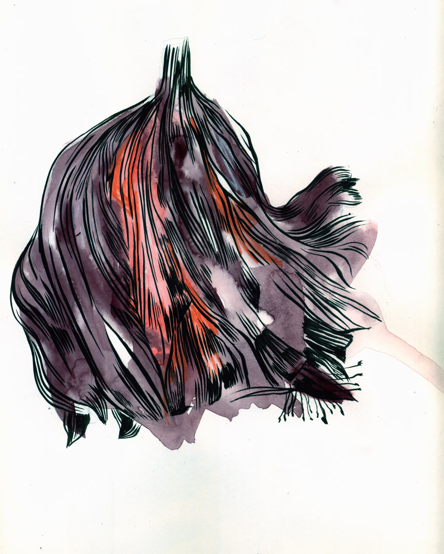 866x1080 Mc Drawn Dead Flower Sketch Watercolour, Watercolour Pencil - Dead Flower Sketch