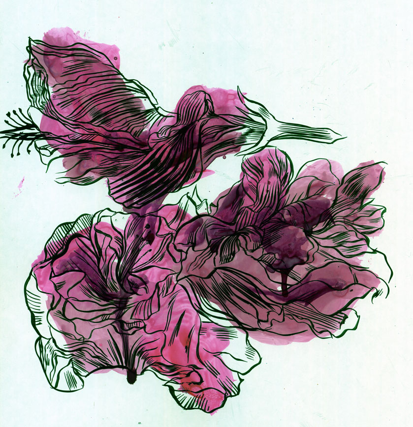 839x868 Mc Drawn Dead Flowers Sketch Brush And Ink - Dead Flower Sketch