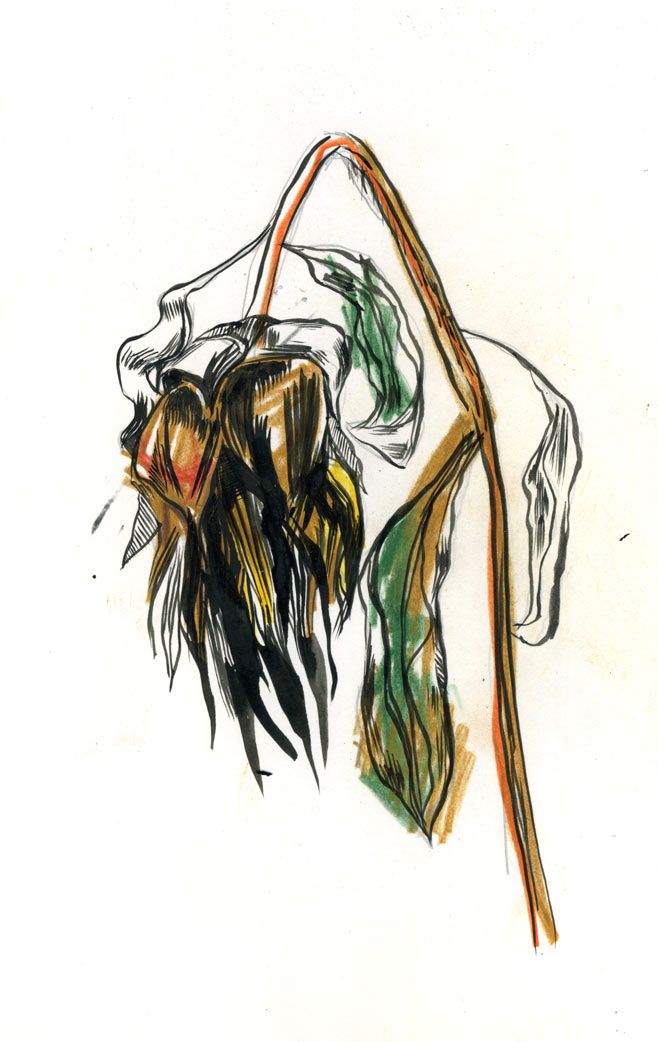 659x1042 Miranda Costa - Dead Flower Sketch