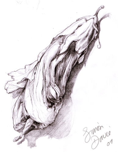 387x499 Dead Flower Leaf Wing - Dead Flower Sketch
