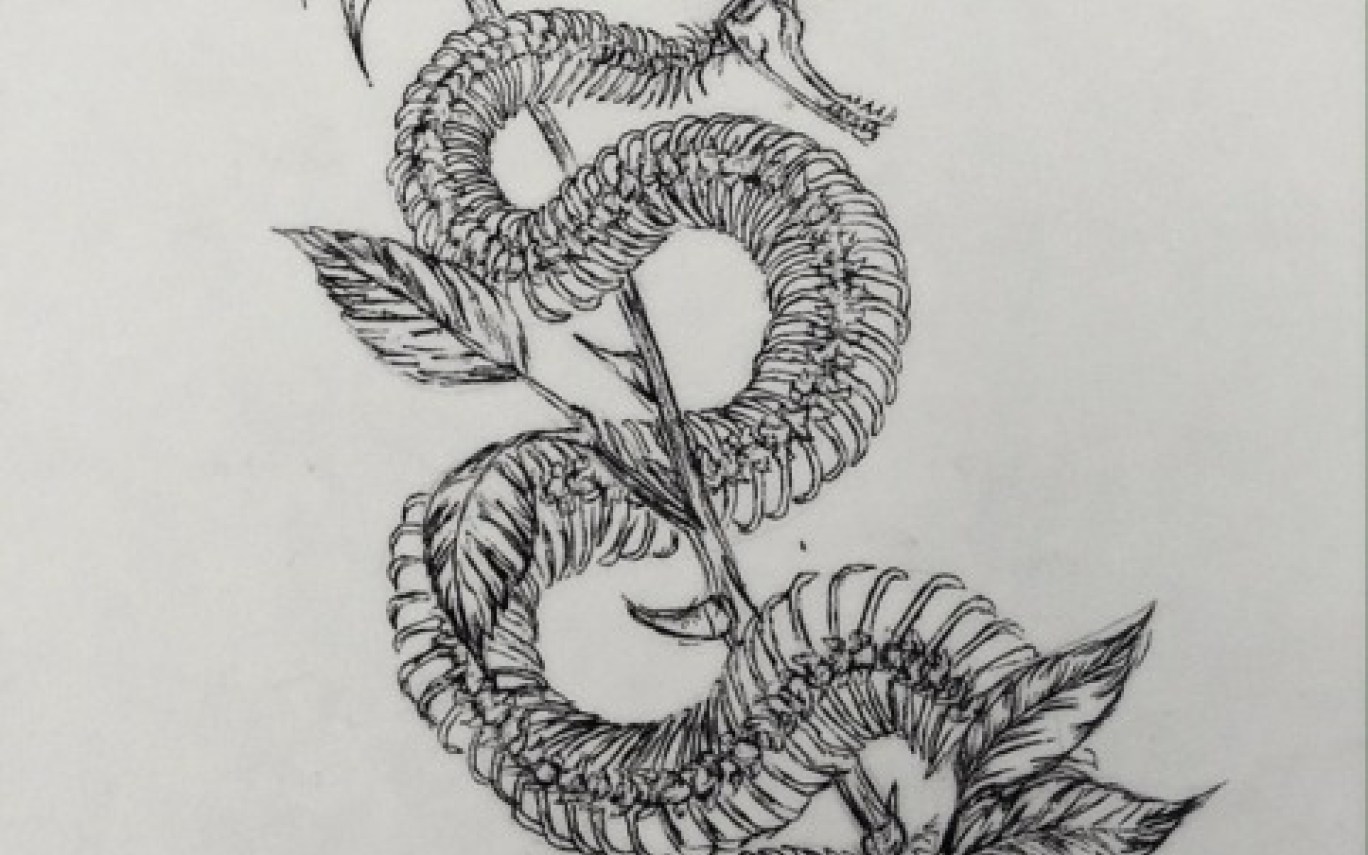 1368x855 Dead Flower Sketch Tumblr Gardening Flower And Vegetables - Dead Flower Sketch