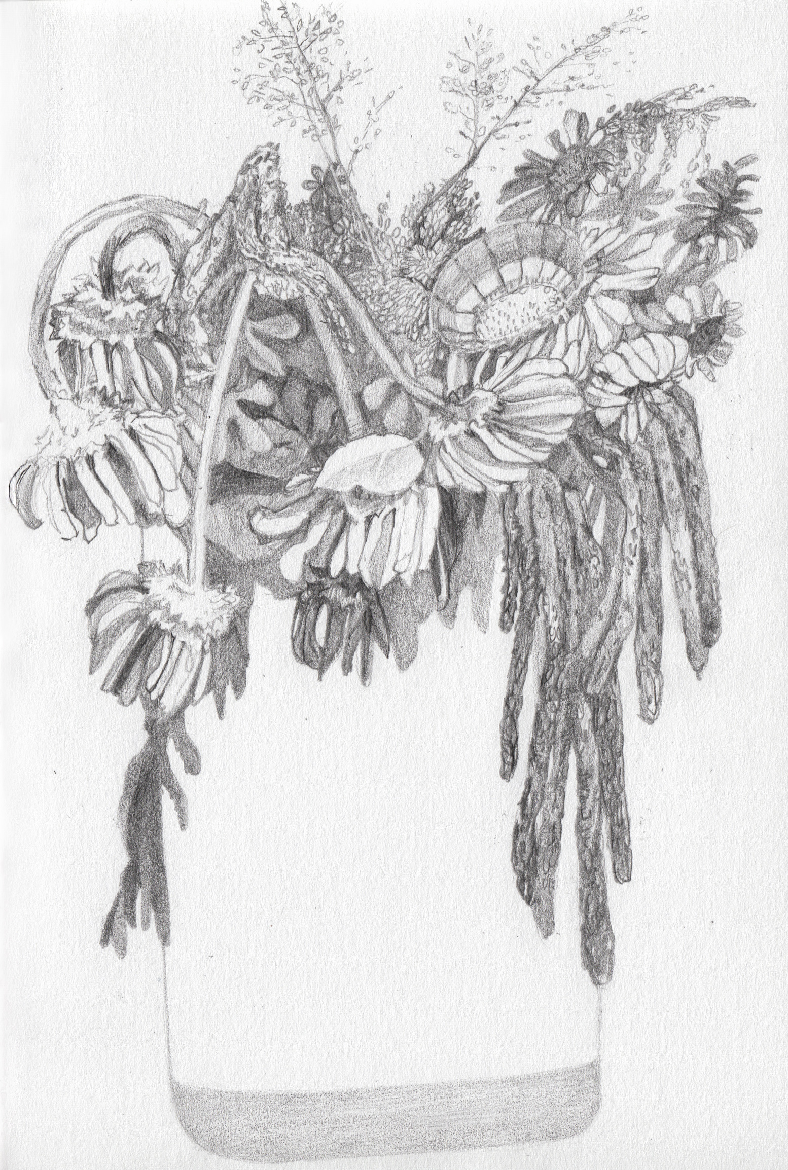1554x2308 Dead Flowers (Sketchbook) Lizz Desimone - Dead Flower Sketch