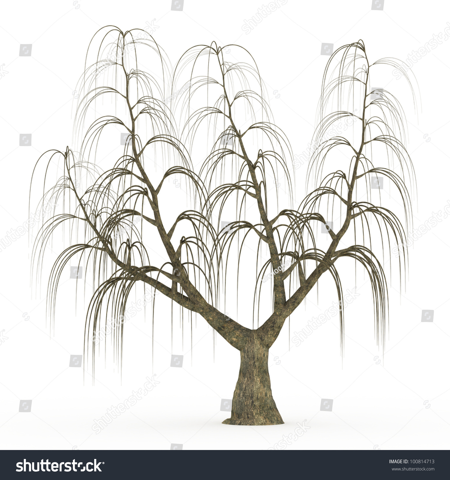 1500x1600 Dead Willow Tree Sketch Dead Weeping Willow Tree Isolated On Stock - Dead Tree Sketch