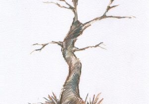 300x210 Drawing Of A Dead Tree Illustration Sketch Of Dead Tree Without - Dead Tree Sketch