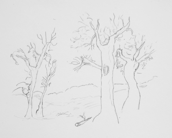 600x480 How To Draw - Dead Tree Sketch