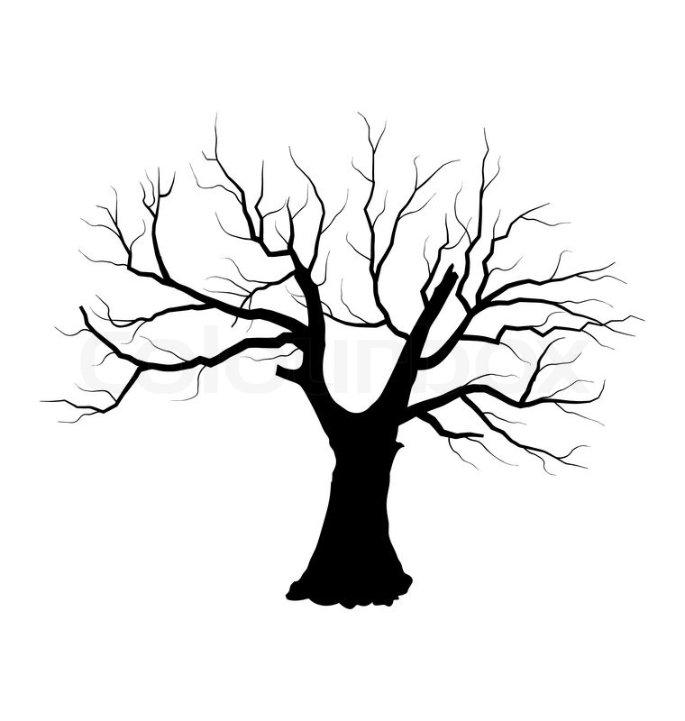 760x800 Illustration Sketch Of Dead Tree Without Leaves , Isolated On - Dead Tree Sketch