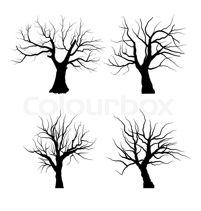 760x800 Set Sketch Of Dead Tree Without Leaves , Isolated On White - Dead Tree Sketch