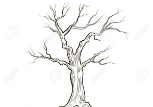 300x210 Tree Drawing Without Leaves Drawing Of A Dead Tree Illustration - Dead Tree Sketch