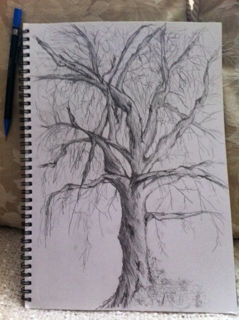 478x640 Winter Tree Pencil Sketch Dead Tree Pencil Drawings - Dead Tree Sketch