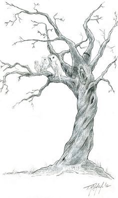 236x397 Dead Trees Drawing - Dead Tree Sketch
