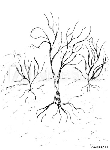 367x500 Dead Tree Sketch - Dead Tree Sketch